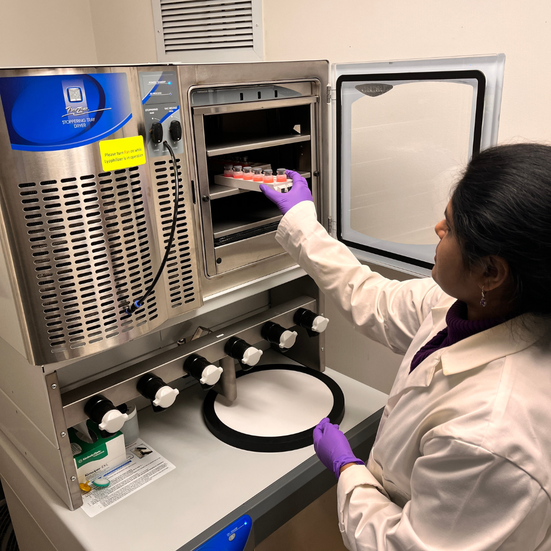 CellMosaic Scientist Annie Put a Tray of Fluorescent Labeled Protein into Lyophilzer CellMosaic Scientist Annie Put a Tray of Fluorescent Labeled Protein into Lyophilzer